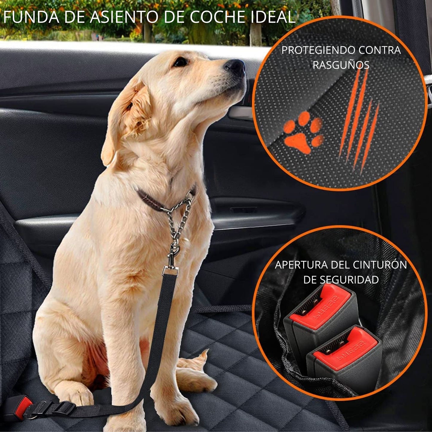AutoPetGuard
