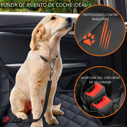 AutoPetGuard